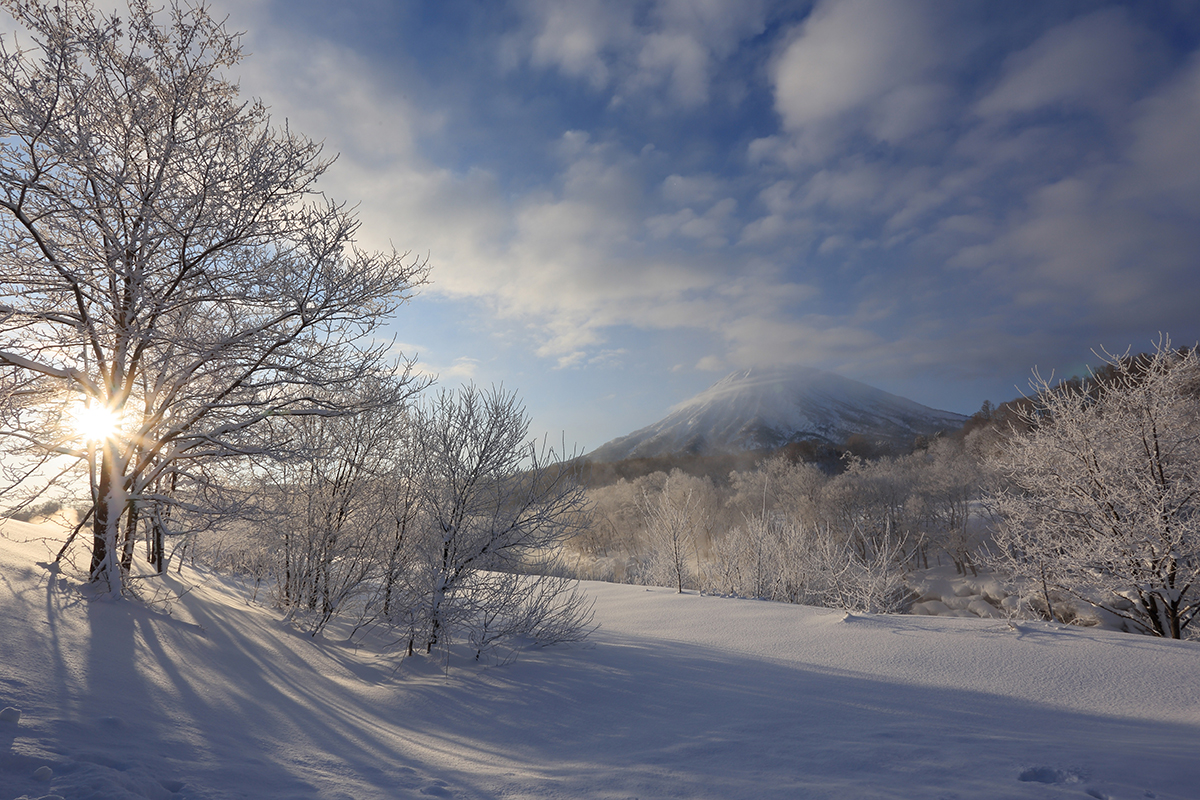 「厳冬の朝」のイメージ画像