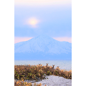 「お顔を出して」のイメージ画像