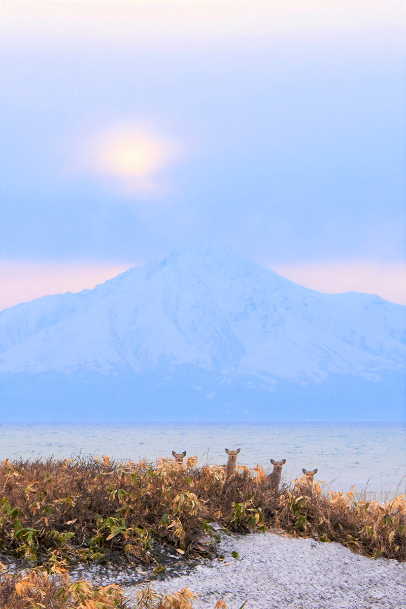 「お顔を出して」のイメージ画像
