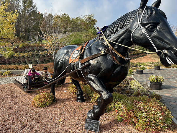 走れ！キンタロー！のイメージ画像