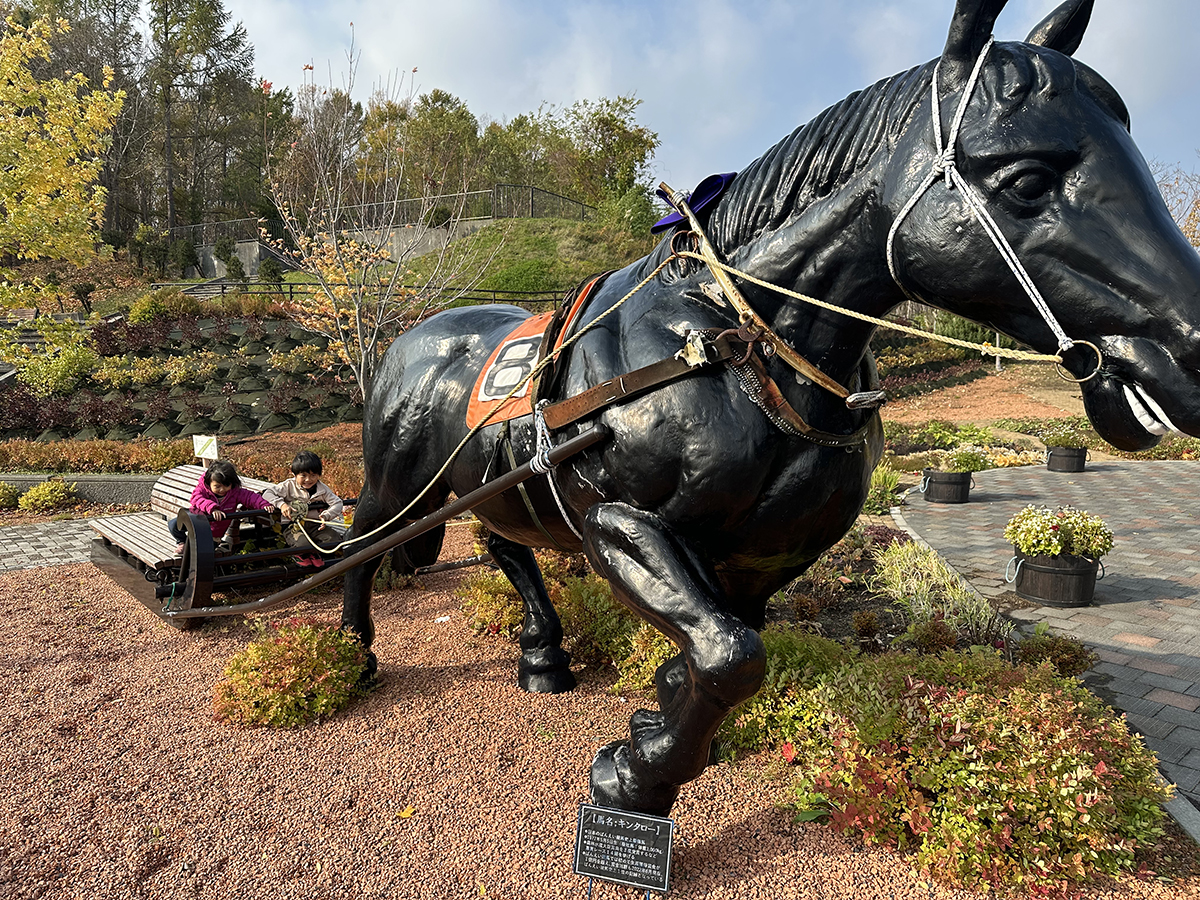 走れ！キンタロー！のイメージ画像