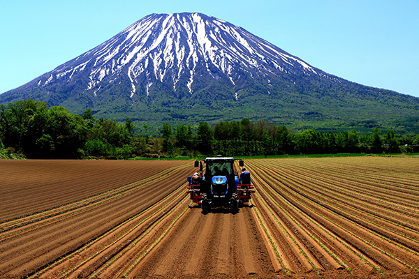 苗植えのイメージ画像