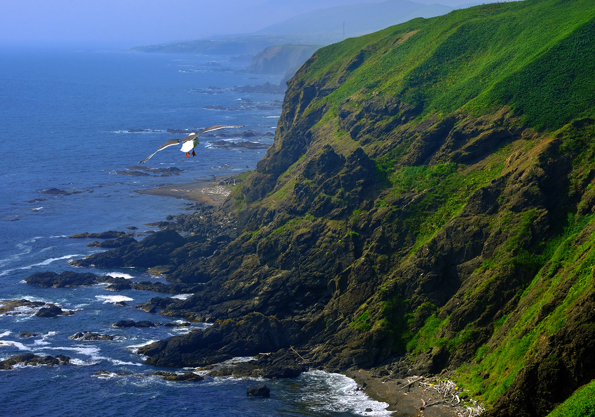 上昇気流のイメージ画像