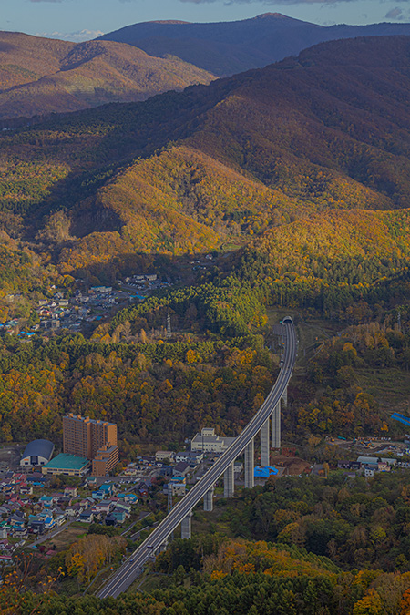 光差す紅葉の山中