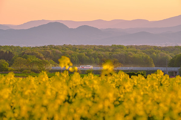 北へ向かう高速バス