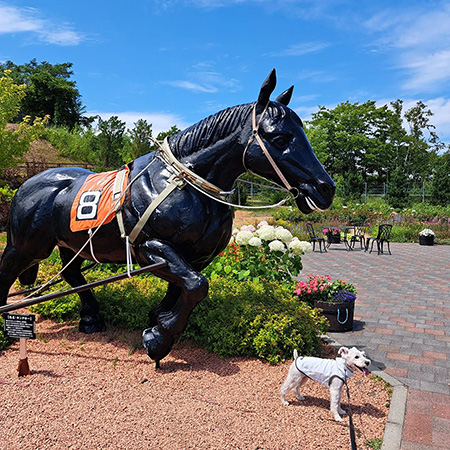 ❁¨̮rururun❁rurugreen921