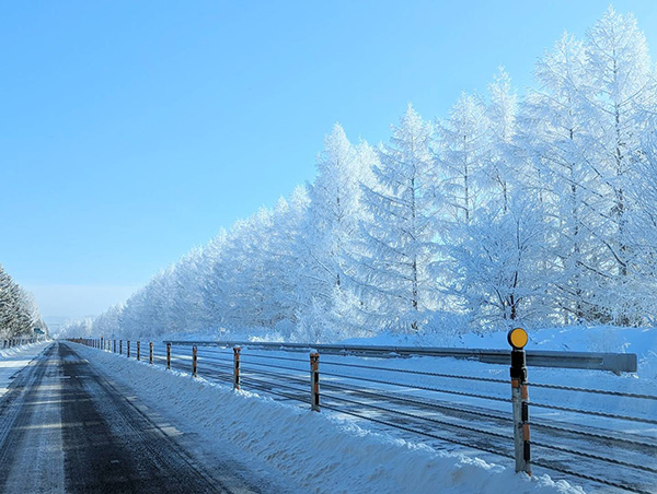 くっしー kussy924