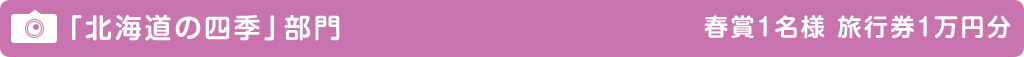 「北海道の四季」部門のイメージ画像