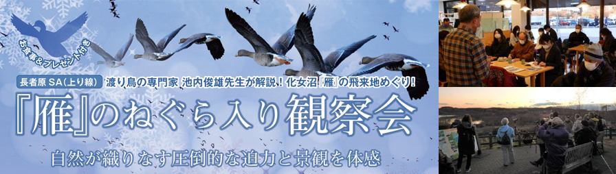 【E4】東北自動車道 長者原SA(上り線) 雁のねぐら入り観察会のイメージ画像