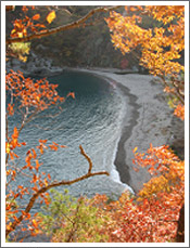 紅葉の入り江を見下ろしてのイメージ画像