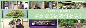 未知の細道への画像リンク