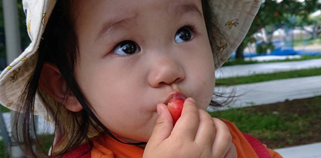 まるせい果樹園