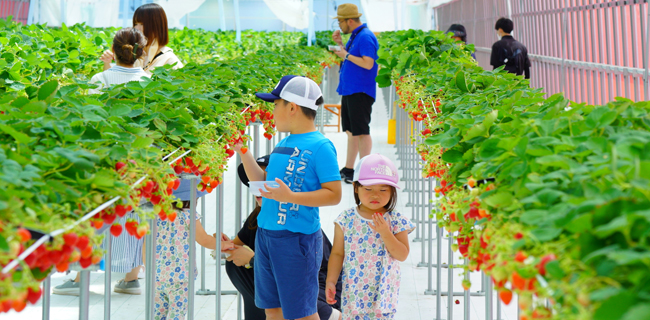 道の駅前 猪苗代いちご園