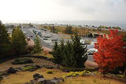 （作品名）　秋景色のサービスエリア