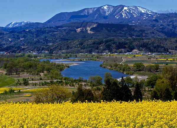 （作品名）早春