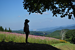 （作品名）　黒姫高原の秋