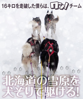 16キロを走破した僕らは、ワン！チーム 北海道の雪原を犬ぞりで駆ける！