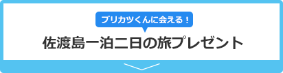ブリカツくんと行く「佐渡島一泊二日の旅プレゼント」