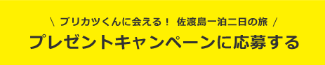 ブリカツくんに会える！　佐渡島一泊二日の旅プレゼントキャンペーンに応募する