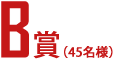 B賞(45名様)