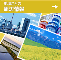 地域ごとの周辺情報