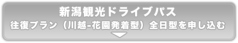 新潟観光ドライブパス