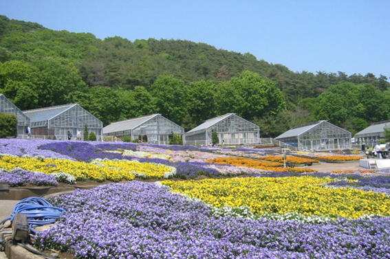 2022.8月花センター.png