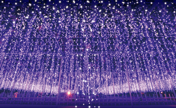 ブログ フラワーパーク.png