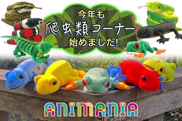 ドラぷら用爬虫類コーナー.jpg