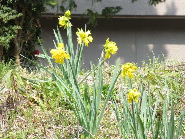 IMG_9723.JPG