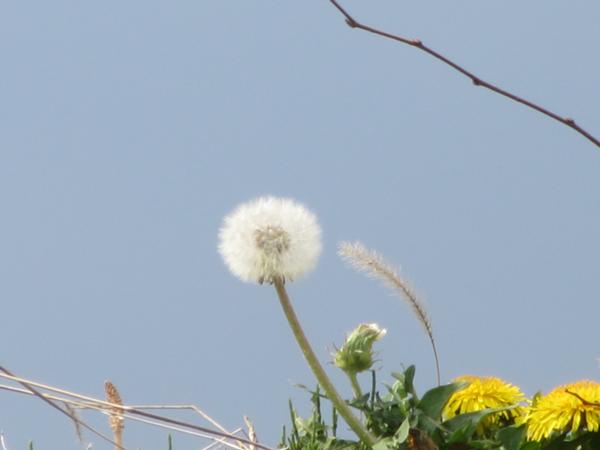 IMG_9736.JPG