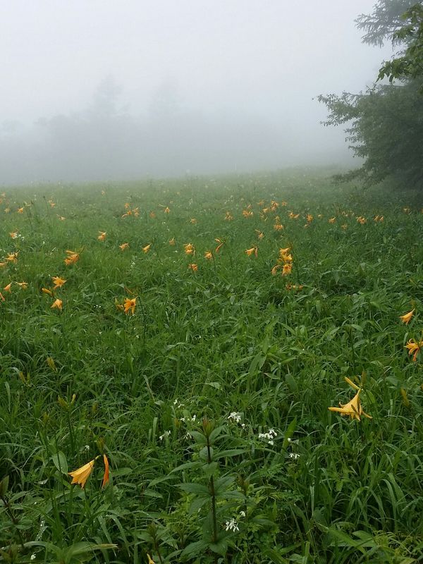 1434700520806.jpgのサムネール画像