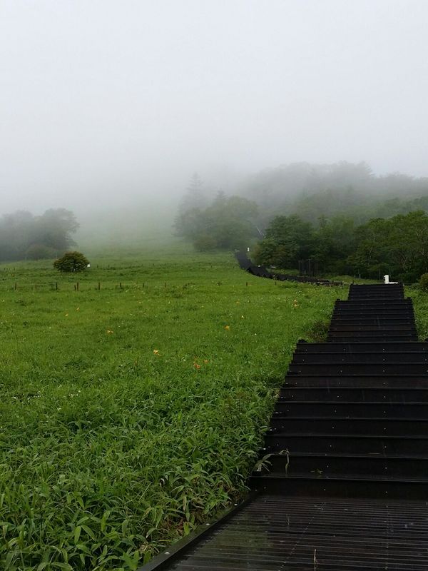 1434700550967.jpgのサムネール画像