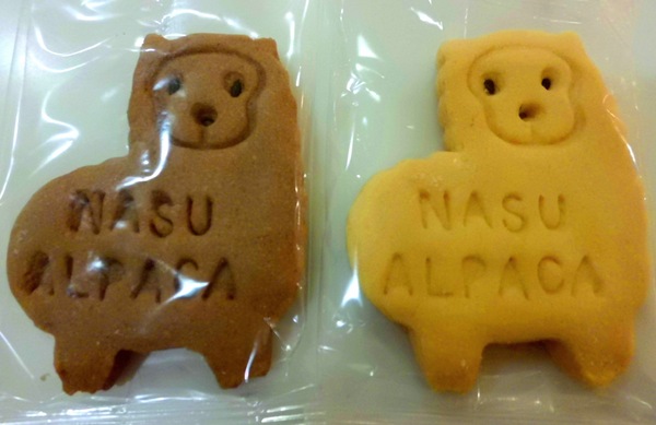 アルパカ.JPG