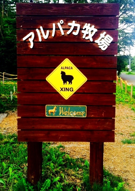 アルパカ牧場.jpg