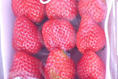 旬の果物のイメージ画像