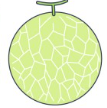 メロン.PNG