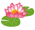 flower_suiren (1).png