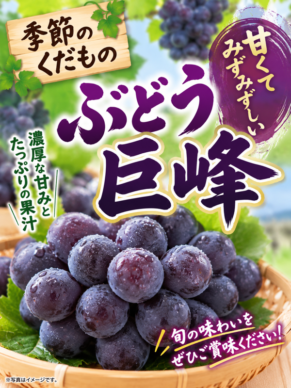 Codex 画像 2026年9月14日 12_36_32.png