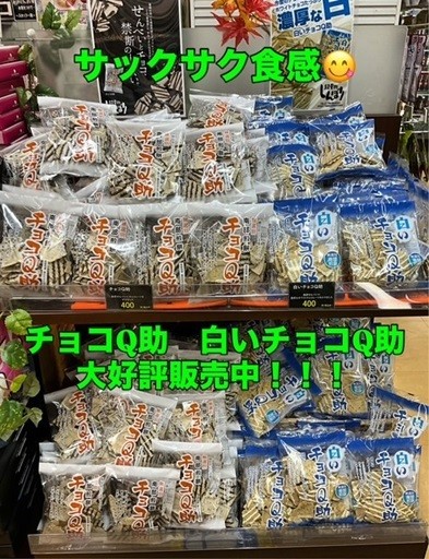 チョコＱ助.jpg