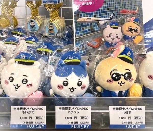 tiikawa.jpg