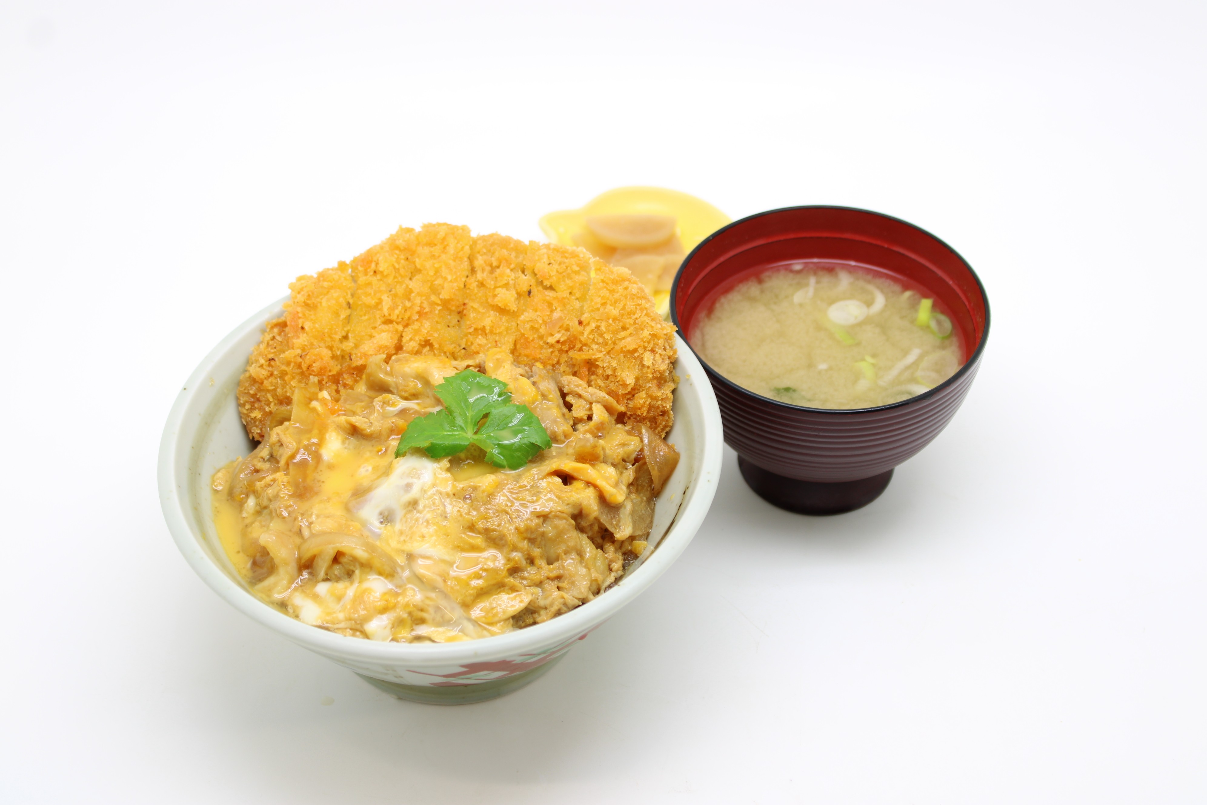 鶏政　シェアハウス丼.JPG