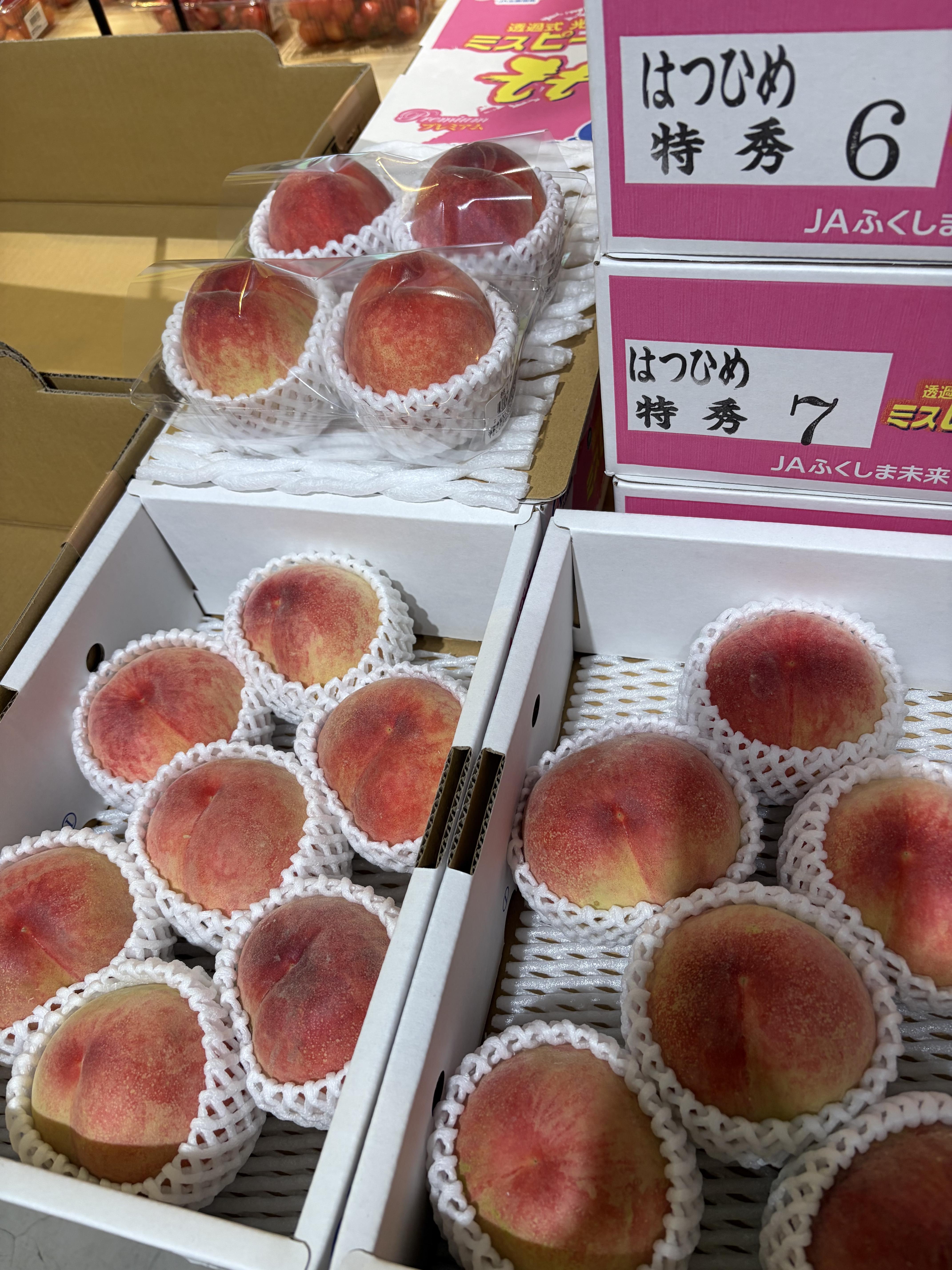 image1.jpeg