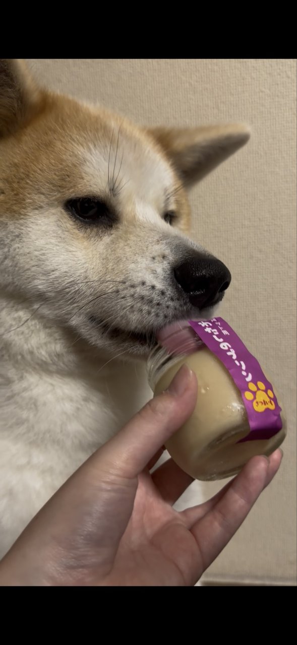 20260701170731_p.jpg