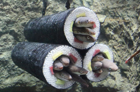 スクリーンショット (8).png