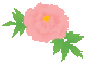 18020B2B4C3B0A1BFA5DCA5BFA5F3A1BFTree20peony[1].gif