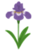 flower_ayame.png