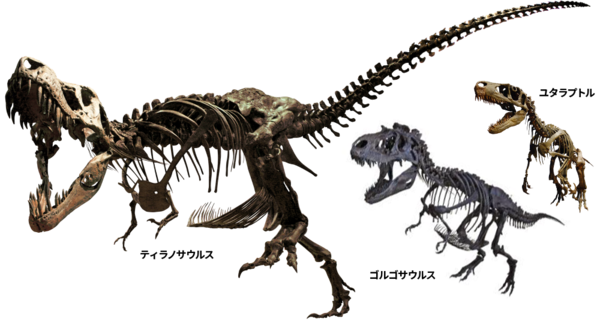 長者原sa 上 東北自動車道 耳寄り情報 ドラぷら Nexco東日本 長者原sa 上 東北自動車道 耳寄り情報 ドラぷら Nexco東日本