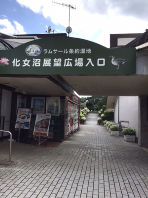 遊歩道.png