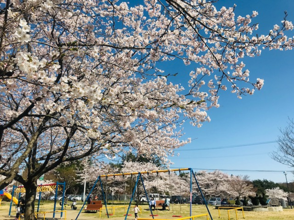 桜・遊具①.png